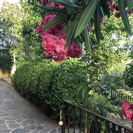 Villa Lucrezia - Dimora In Suvereto Suites&Apartments Apartment Suvereto